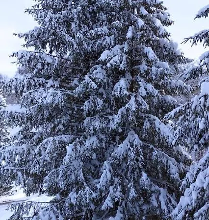 Chalet Di Mira Appartamento